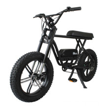 China Cheap Sport 1000w 48v Mountain E Bike Electric Bicycle Ebike Fat Tire Dirt Electric Bike